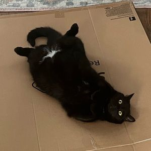 Meet your Posher, Zoey